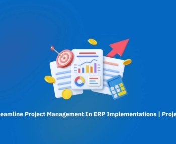 project management in erp implementation - TB